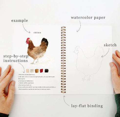 Animal Watercolor Workbook