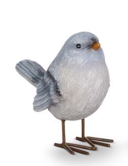 Blue Bird