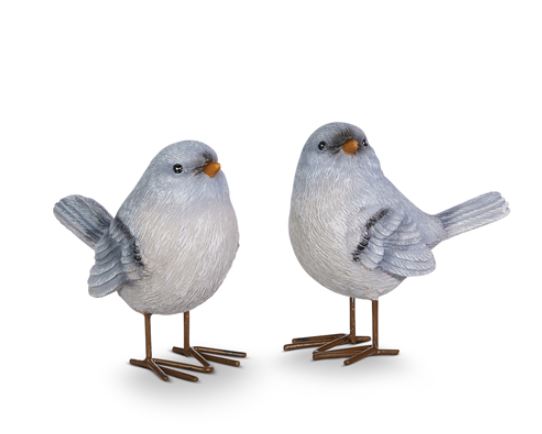 Blue Bird