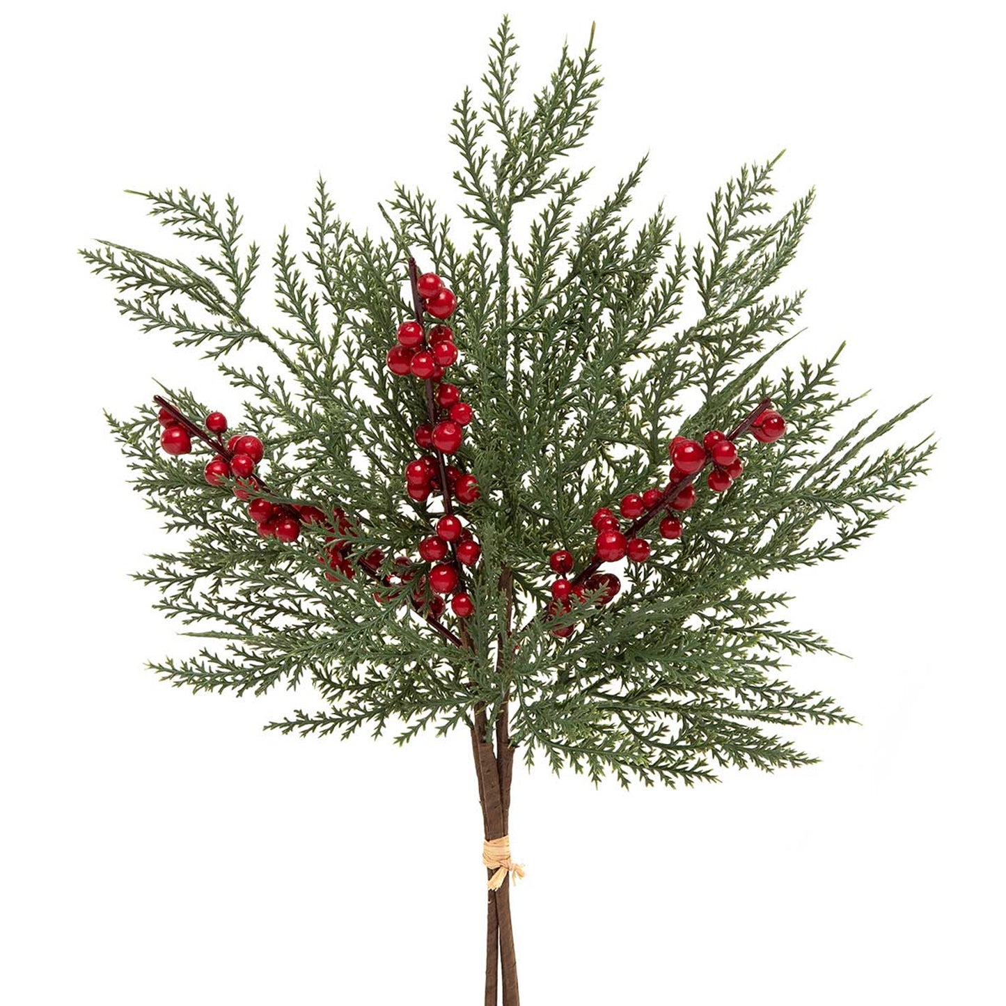 Bundle of 3 Cedar and Berries