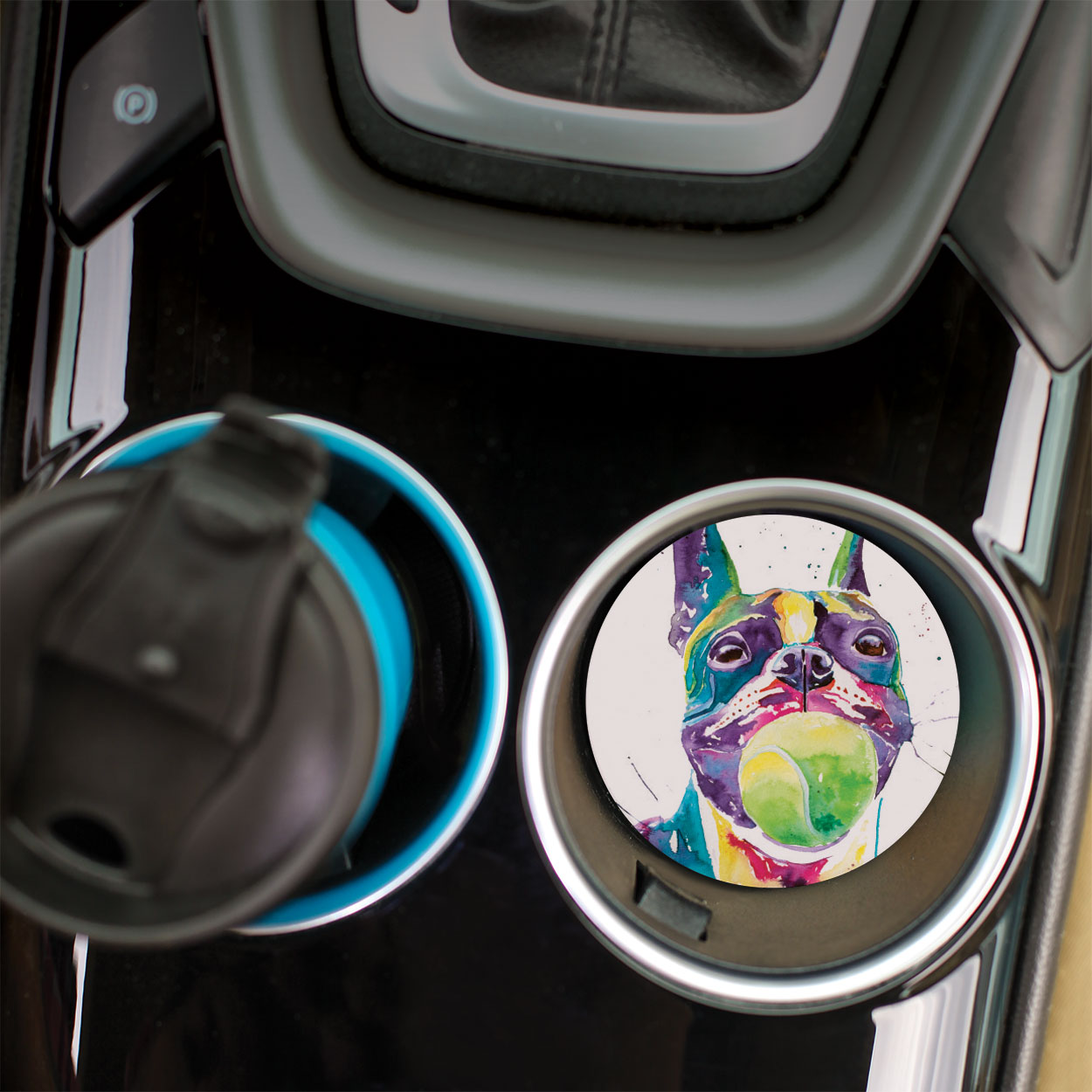Pet Car Coasters