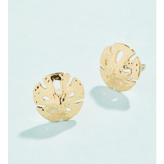 SP Sand Dollar Stud Earrings