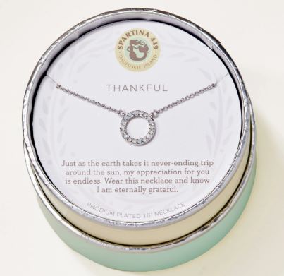 Sea La Vie Thankful/Pave Ring Necklace (silver)