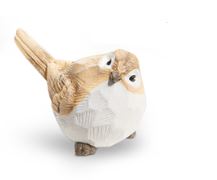 Tan and White Bird