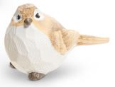 Tan and White Bird
