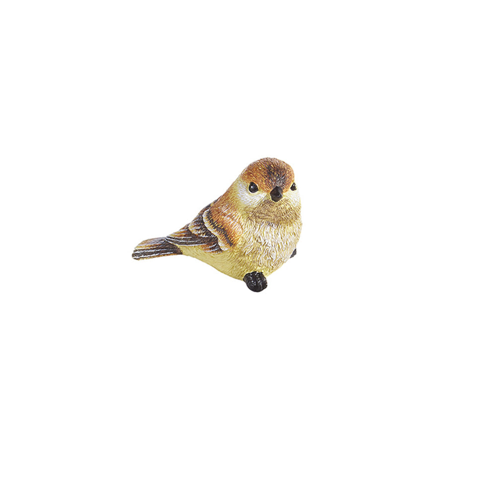 Brown Bird