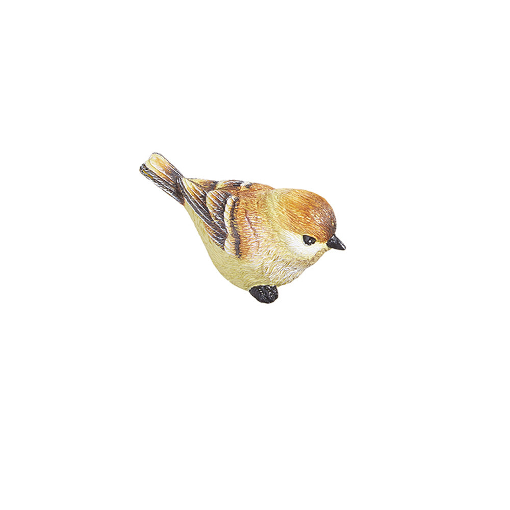 Brown Bird