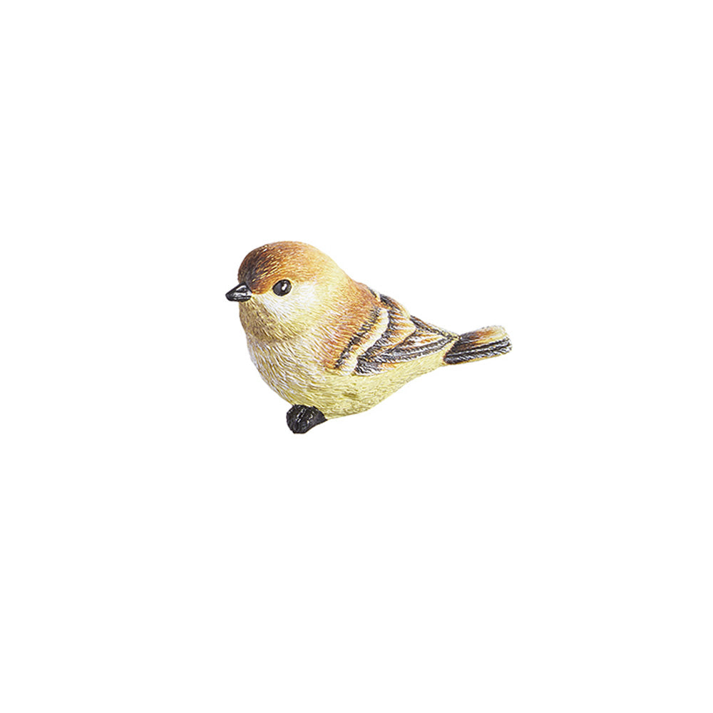 Brown Bird