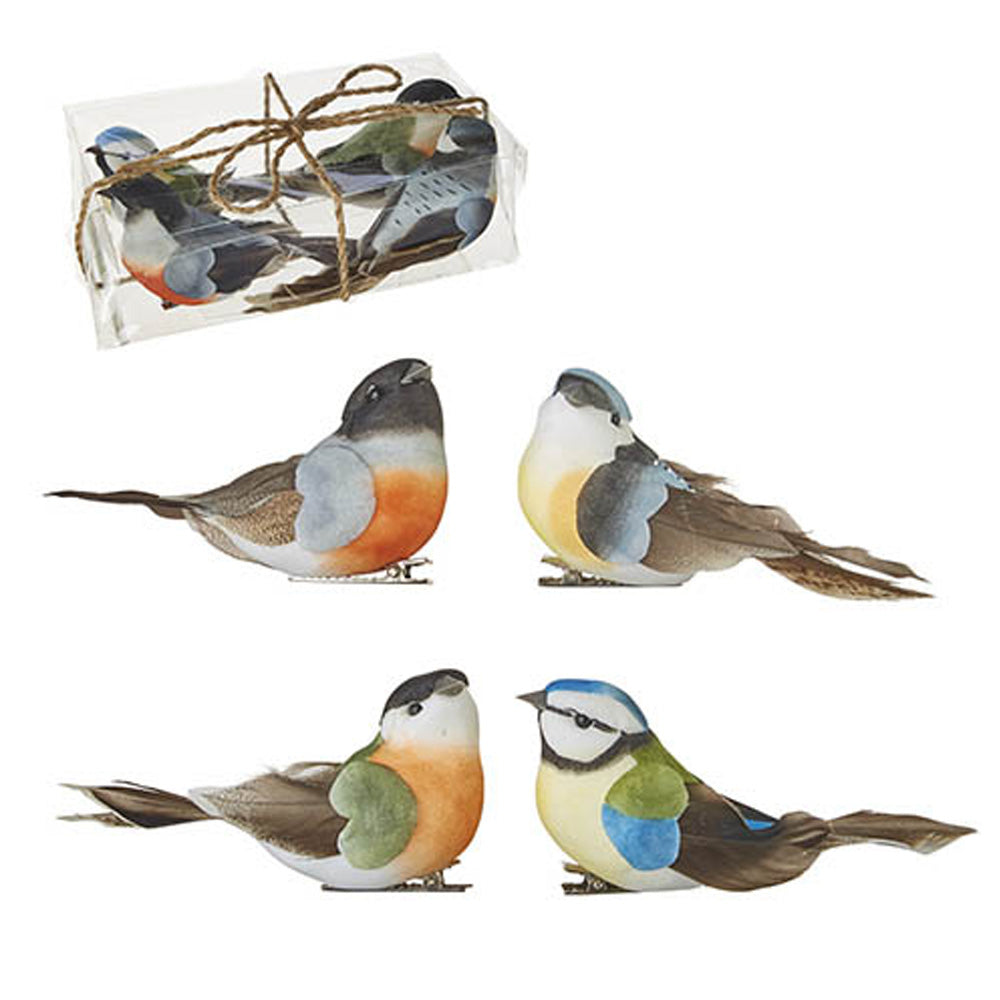 Clip on Birds