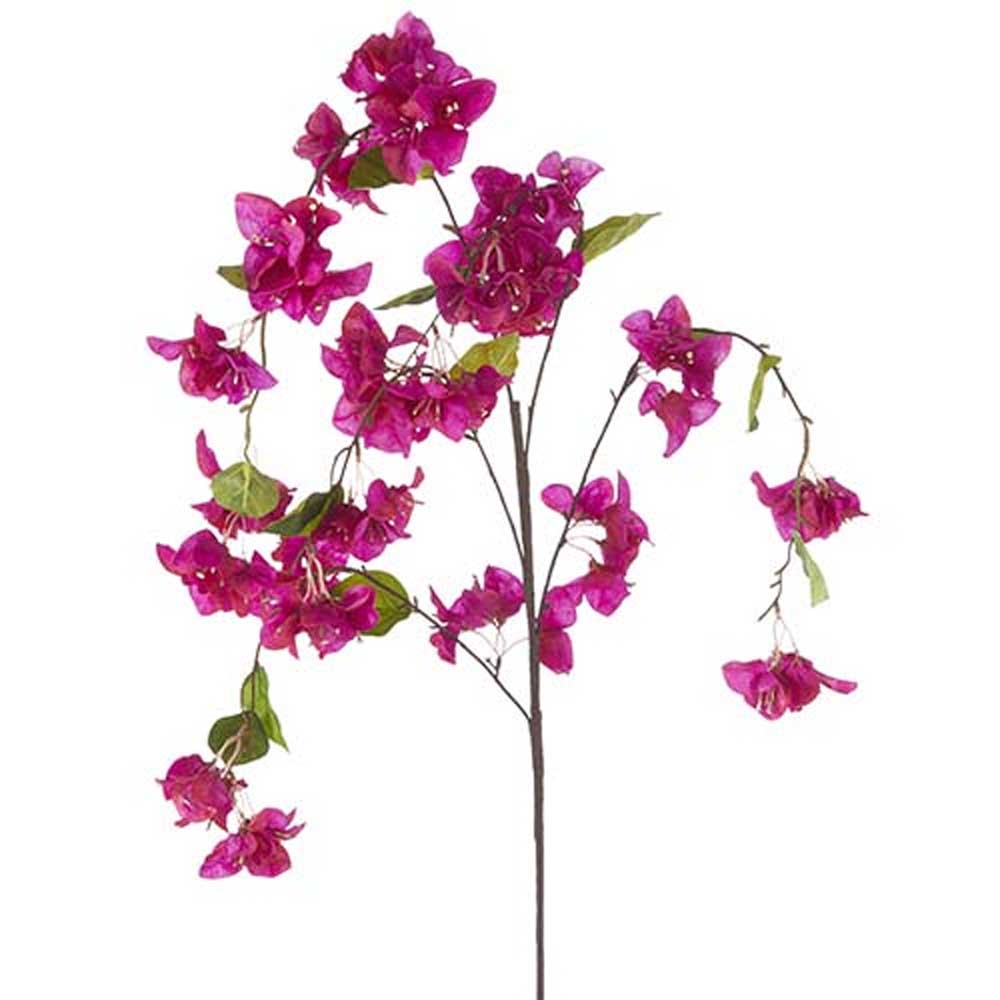 Hanging Bougainvillea Spray