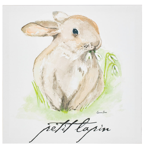 Petit Lapin