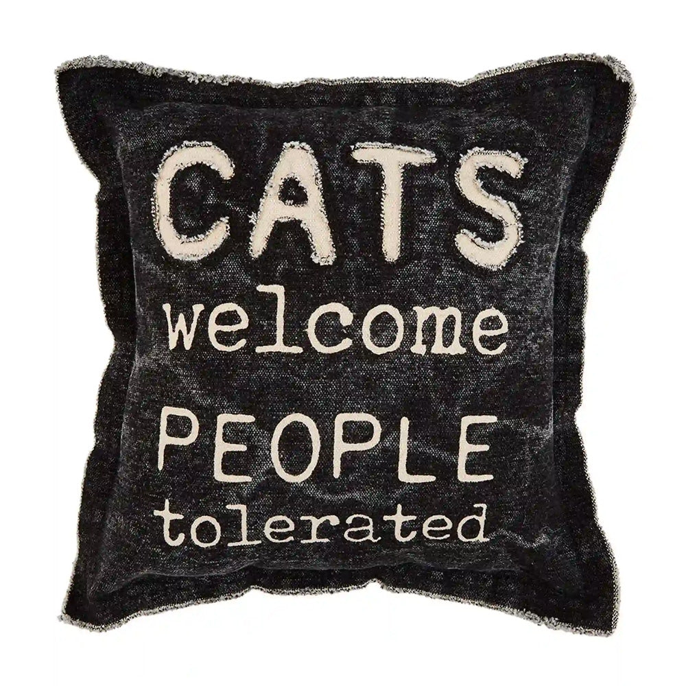 Washed Canvas Pillow