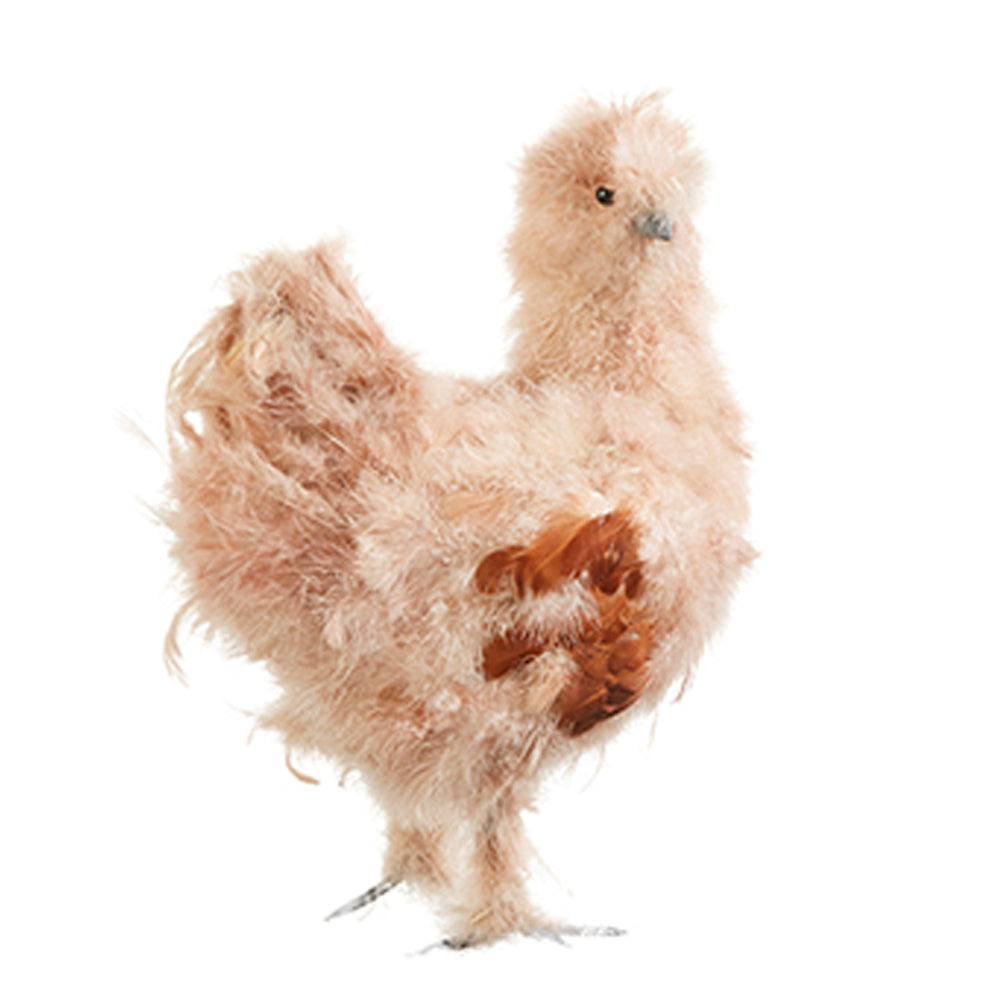 Brown Silky Chicken