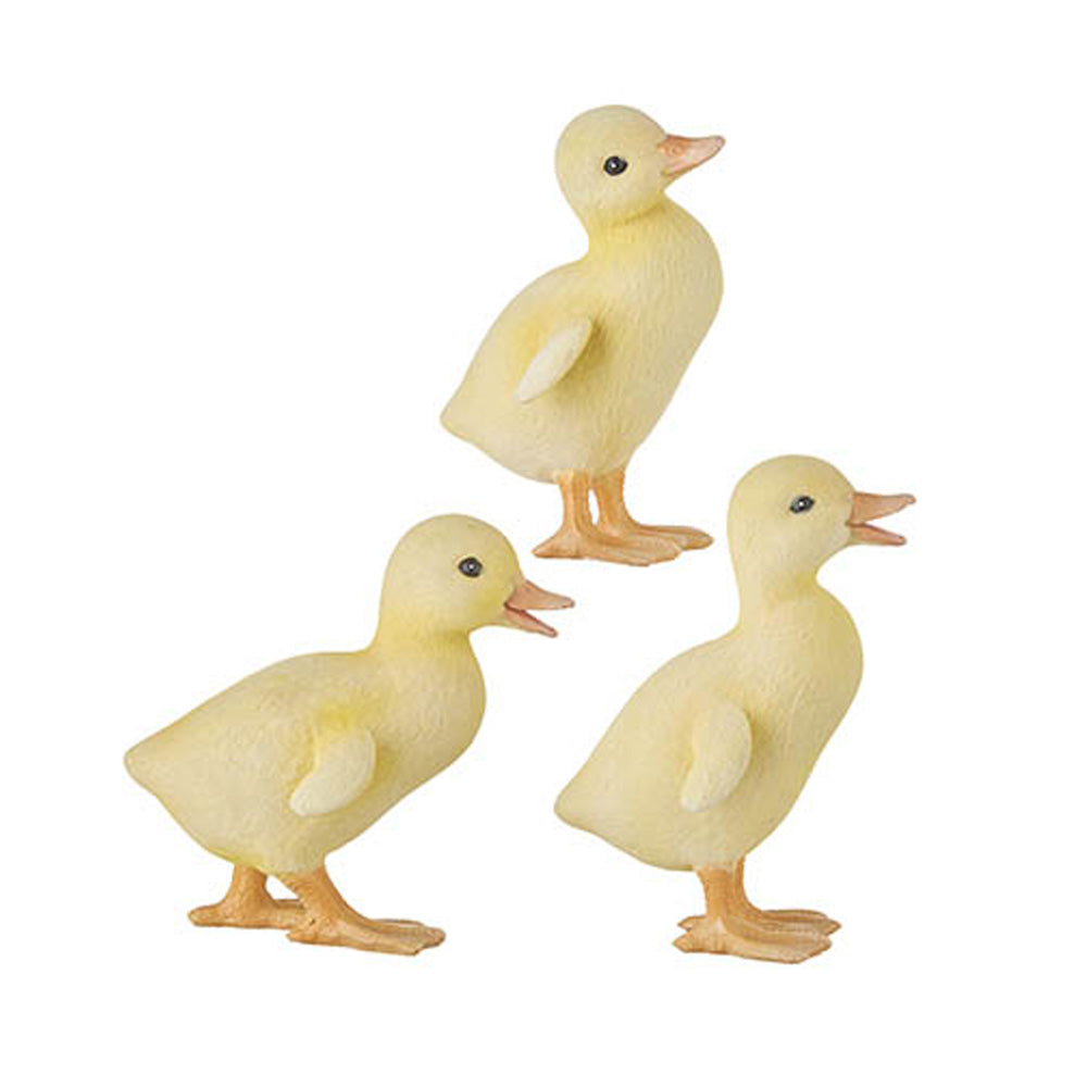 Duckling