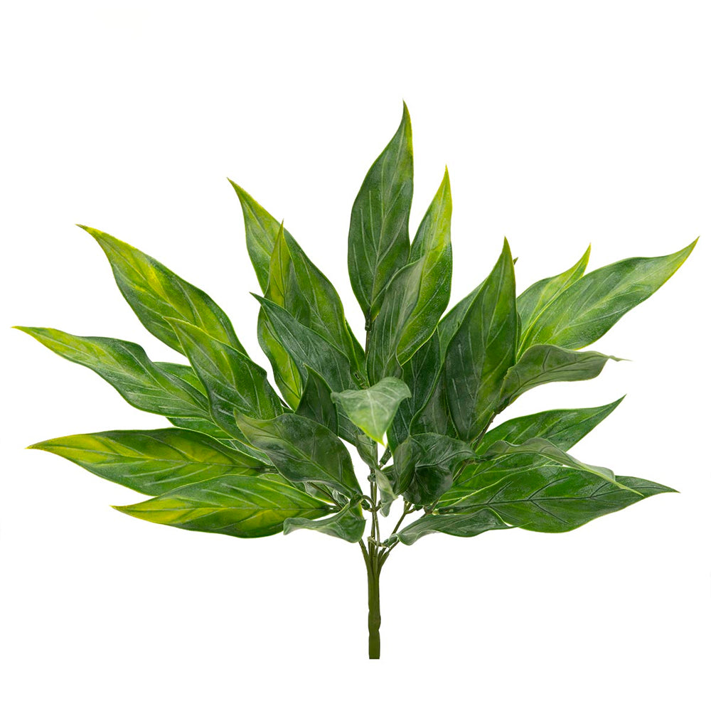 Sword Leaf Bush