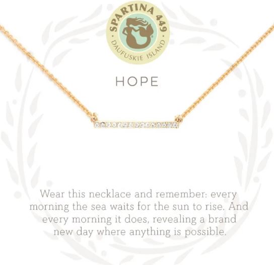 SLV Hope/ Horizon~