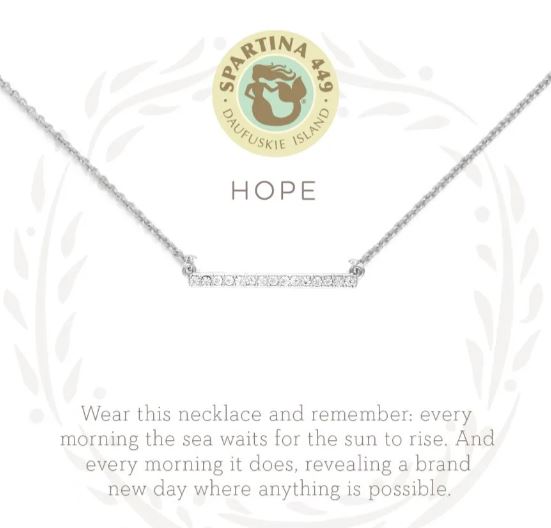 SLV Hope/ Horizon~