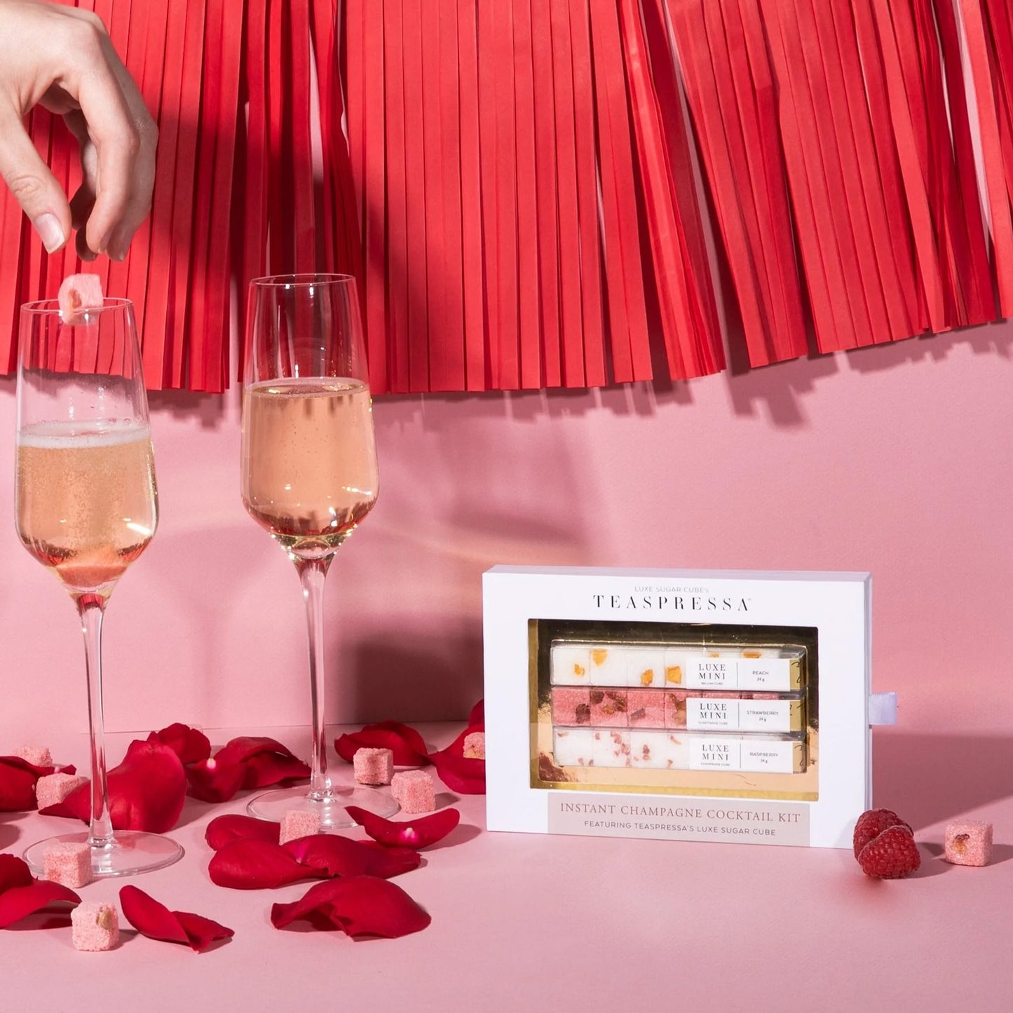 Instant Champagne Cocktail Kit