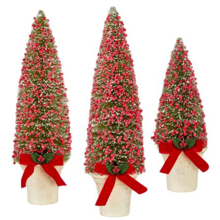 Potted Bottle Brush Trees with Red Berries