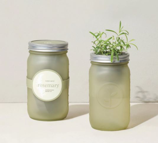 Garden Jar Rosemary
