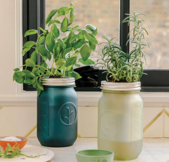 Garden Jar Rosemary