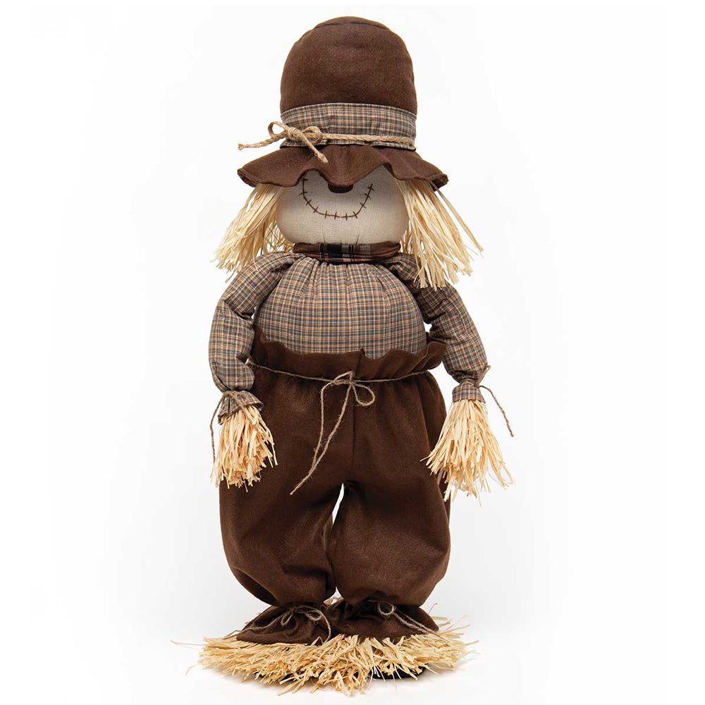 Mr Scarecrow