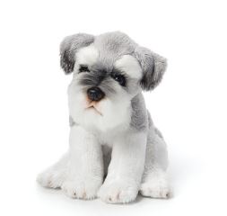 Schnauzer
