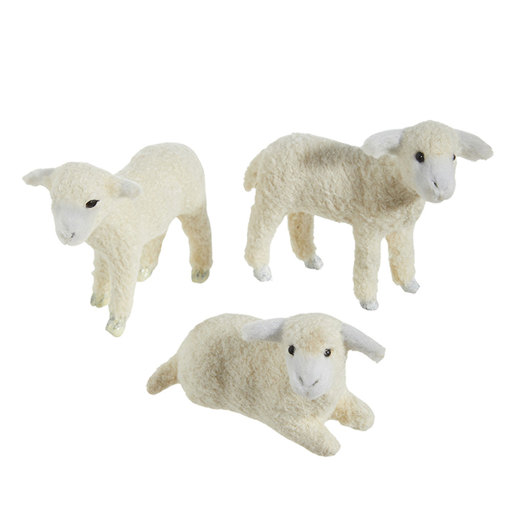 Lamb