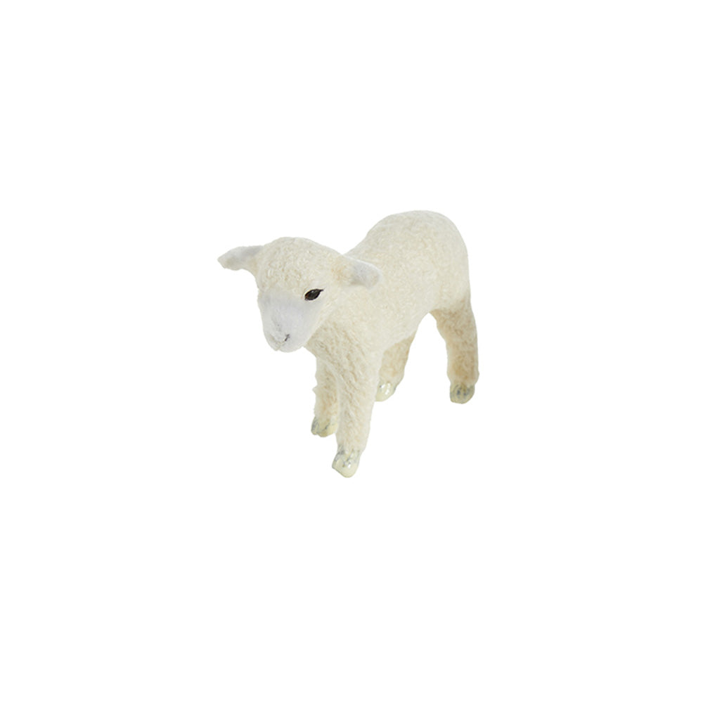 Lamb