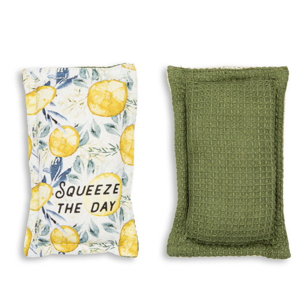 Kitchen Sponges