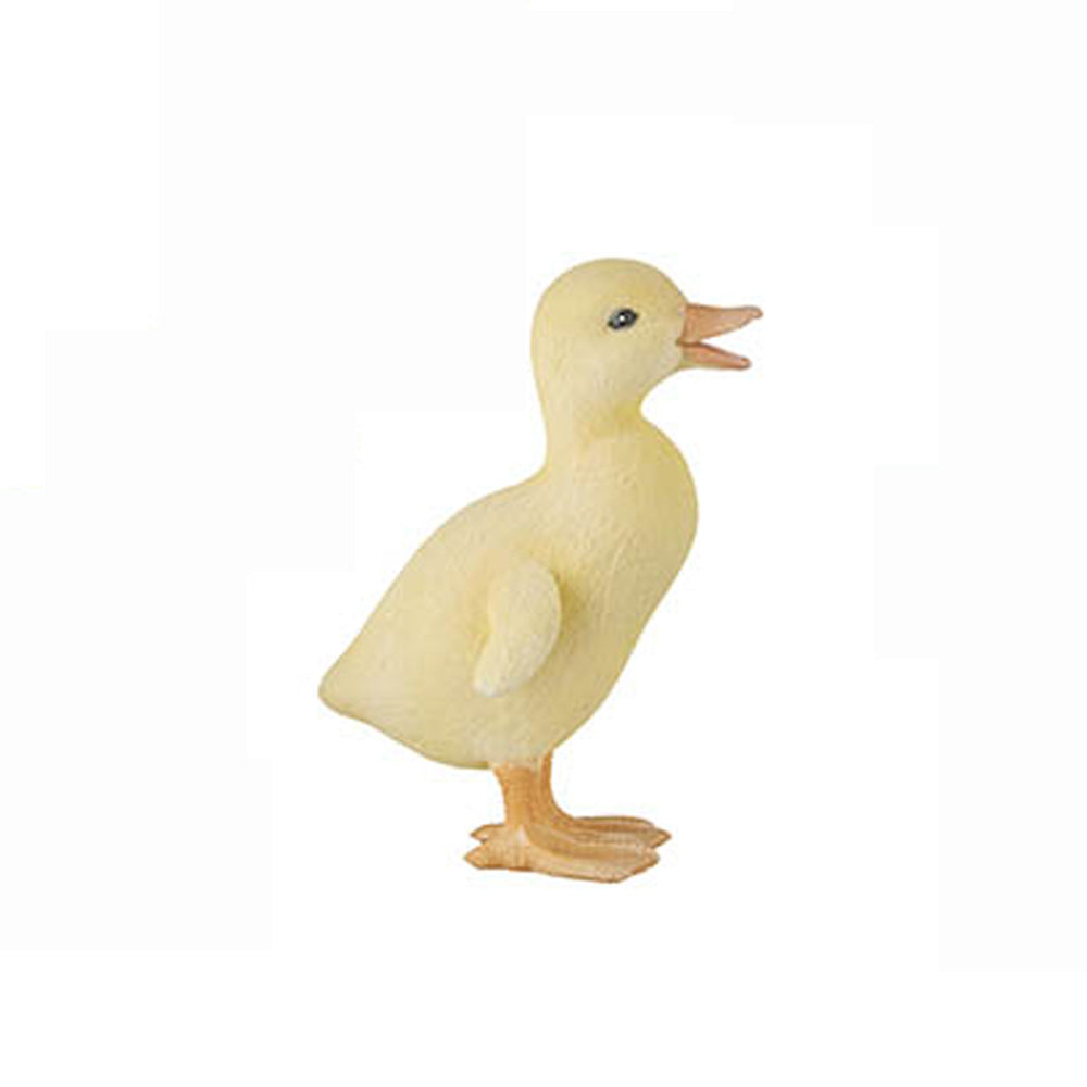 Duckling