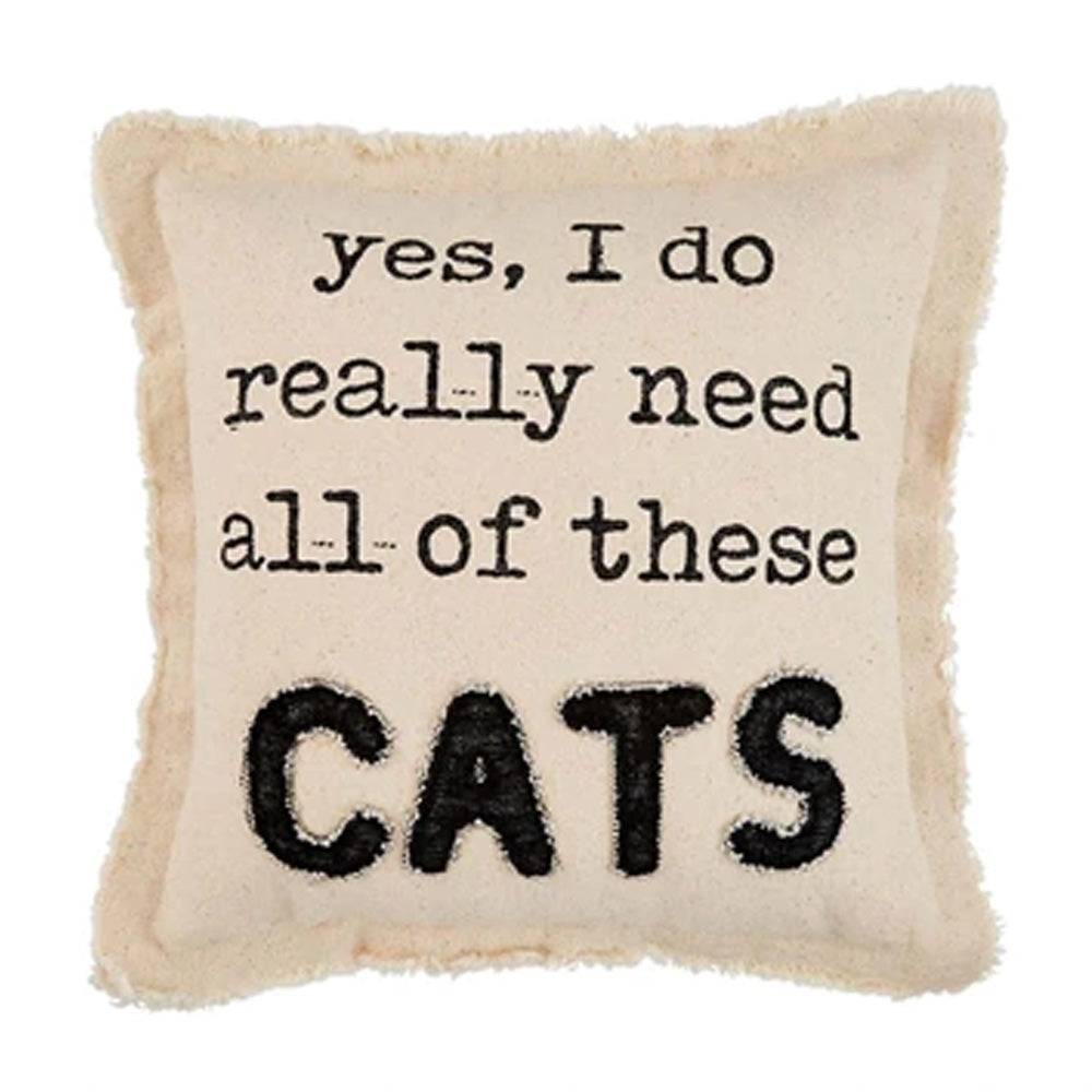 Washed Canvas Pillow