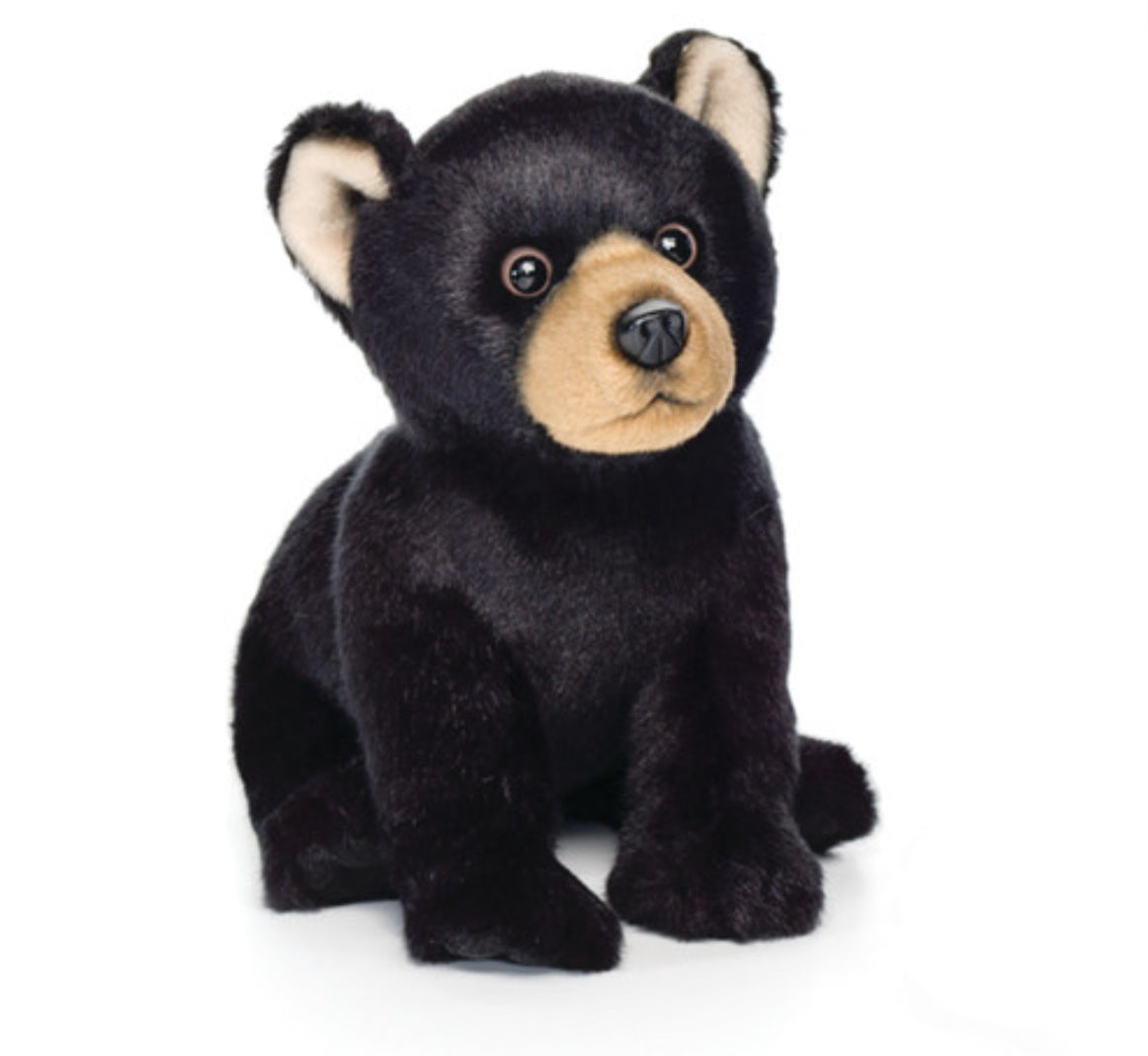 Black Bear