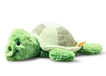 Tuggy Tortoise