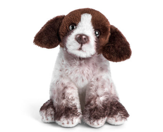 German Shorthaired Pointer