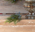 Blue Juniper Pick