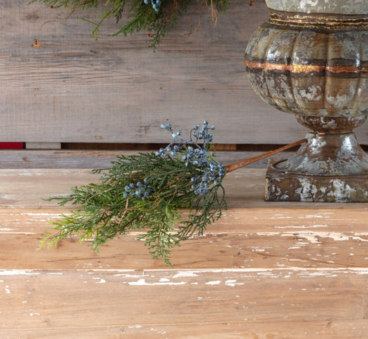 Blue Juniper Pick