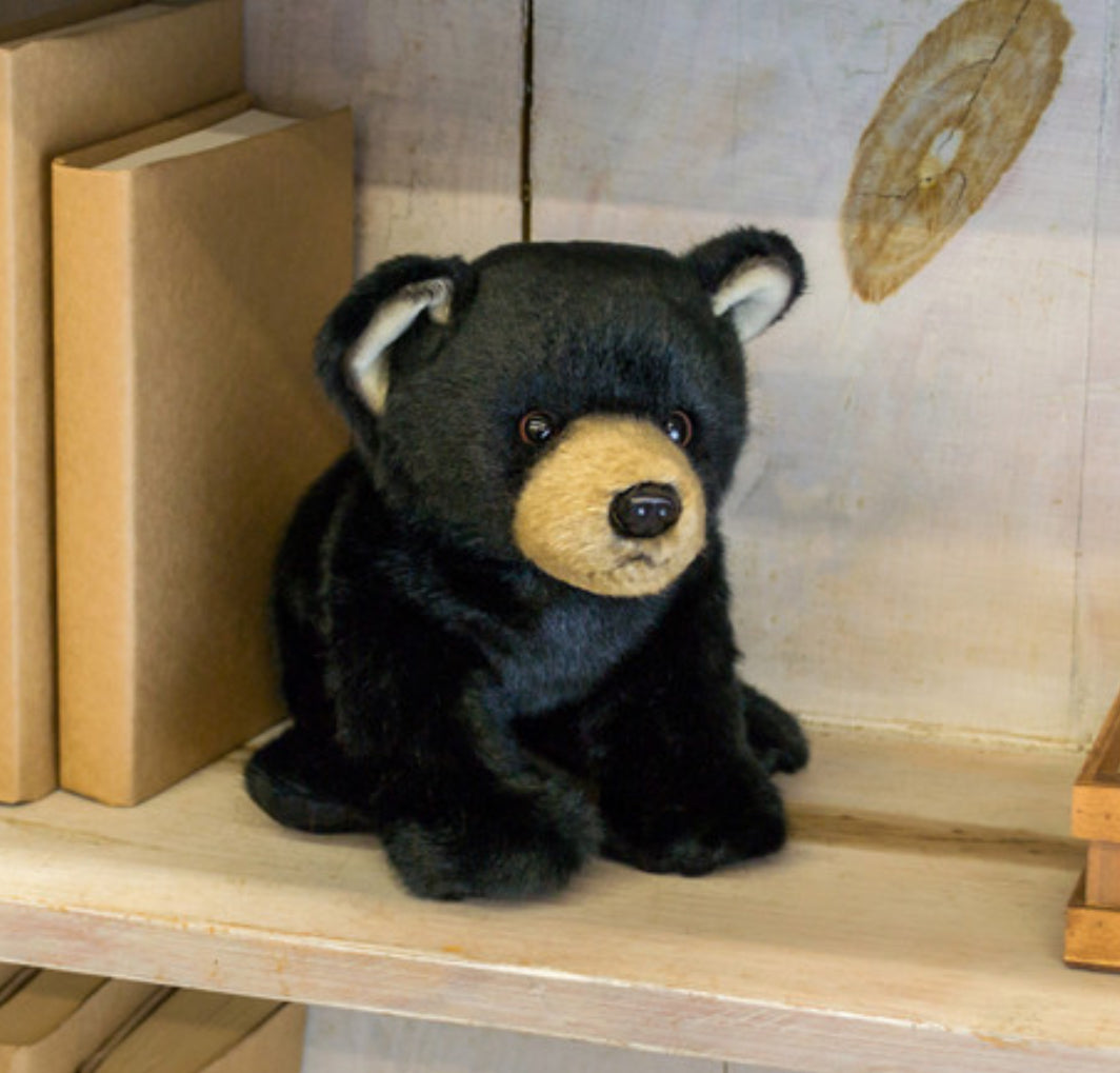 Black Bear
