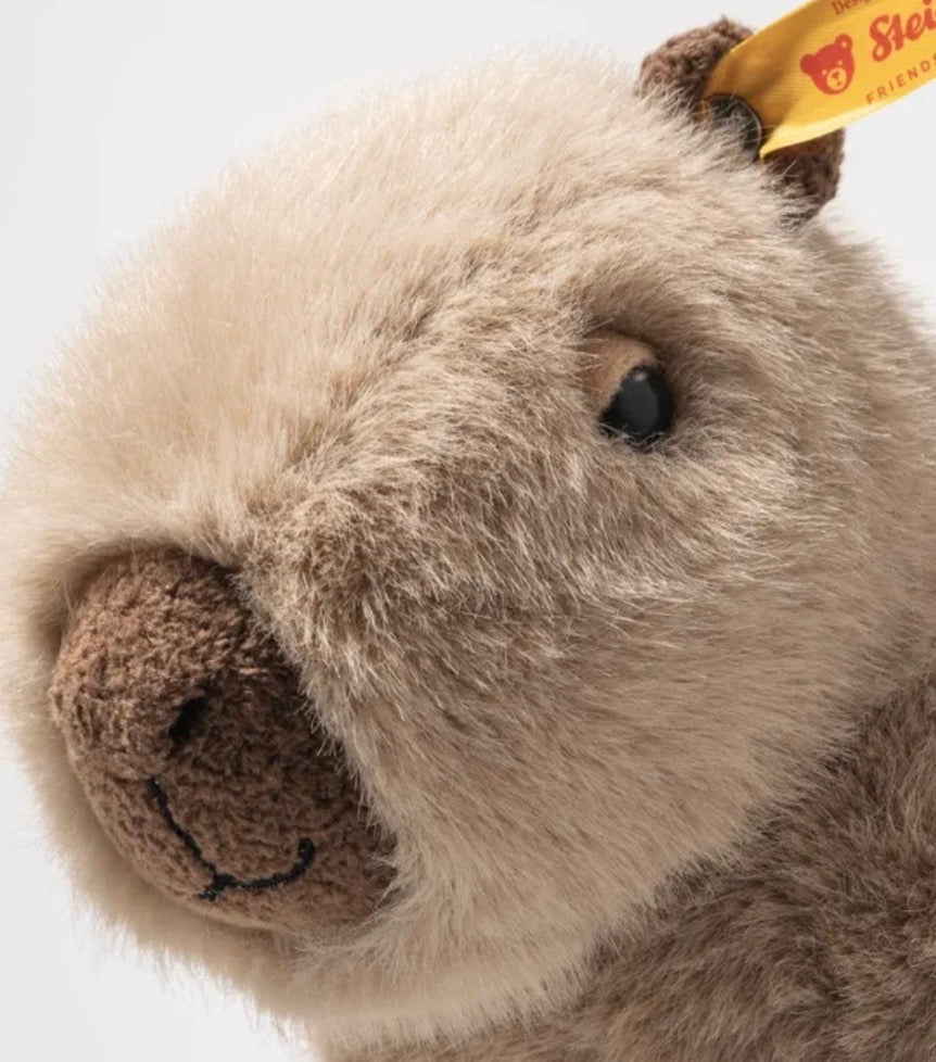 Chip Capybara