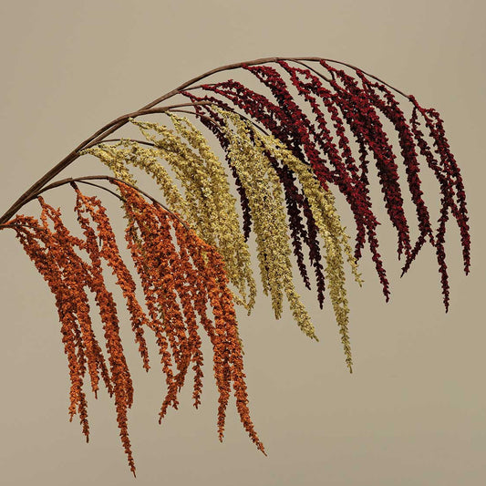 Hanging Amaranthus