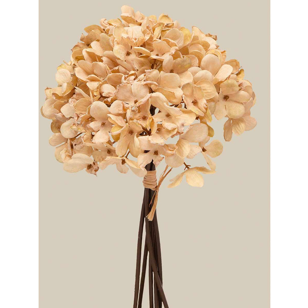 Hydrangea Bundle
