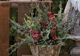 Red Berry Cedar Dome