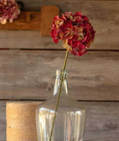 Hydrangea--Jewel tone colored