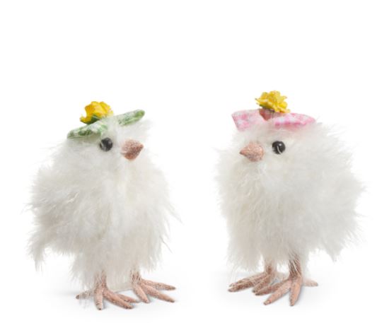 Fluffy Chick