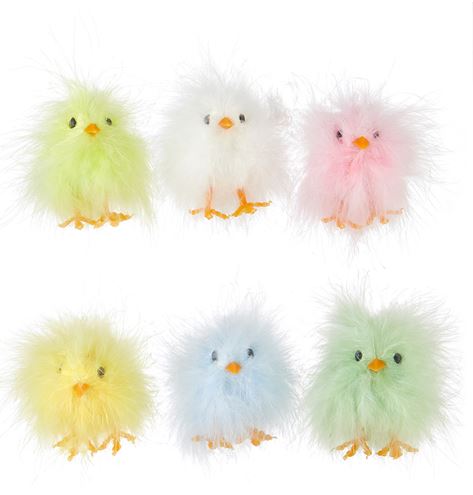 Assorted Fluffy Chicks