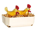 Brown Tortoise Glass Chicken Salt And Pepper