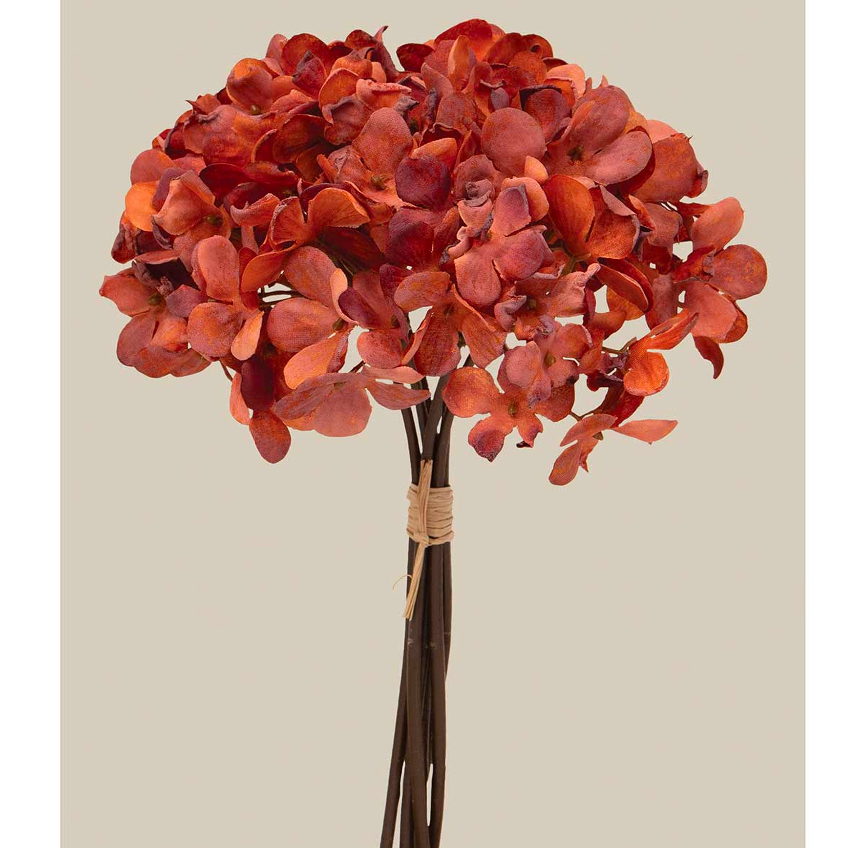 Hydrangea Bundle