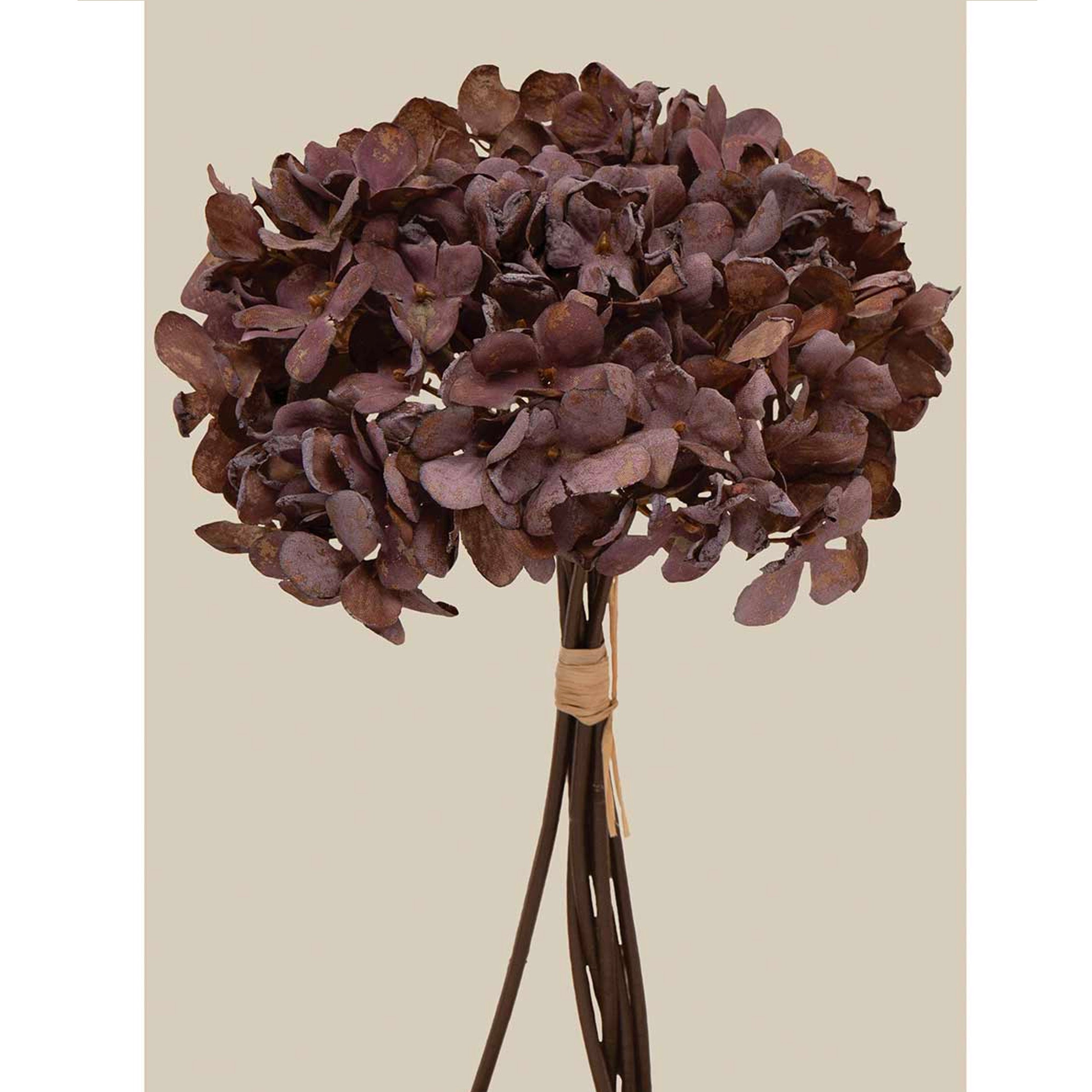 Hydrangea Bundle