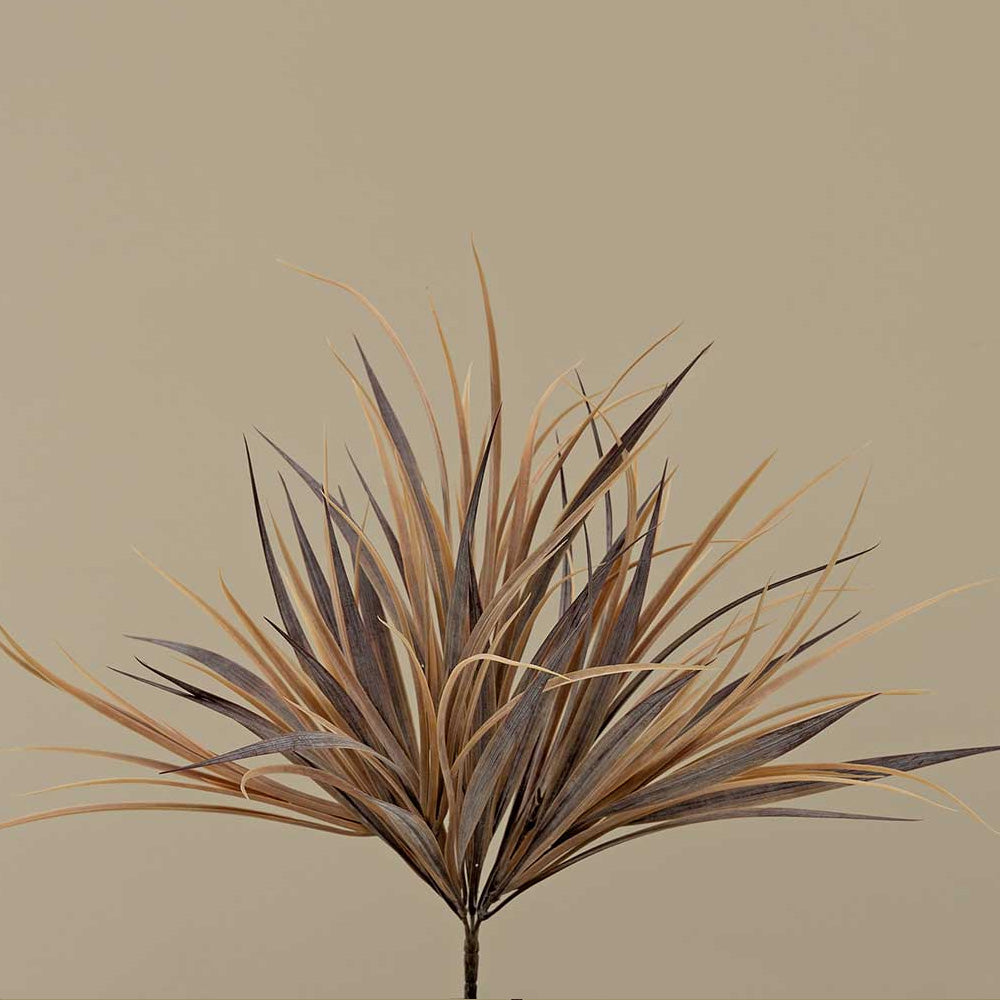 Grass Bush