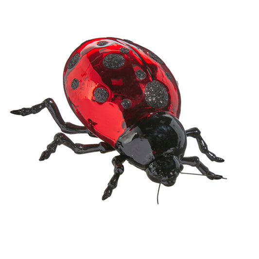 EC Lady Bug Ornament